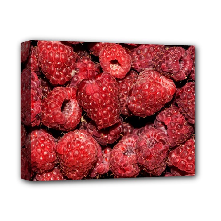 Red Raspberries Deluxe Canvas 14  x 11 