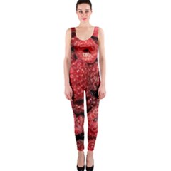 Red Raspberries One Piece Catsuit by FunnyCow