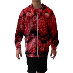 Red Raspberries Hooded Windbreaker (kids) by FunnyCow