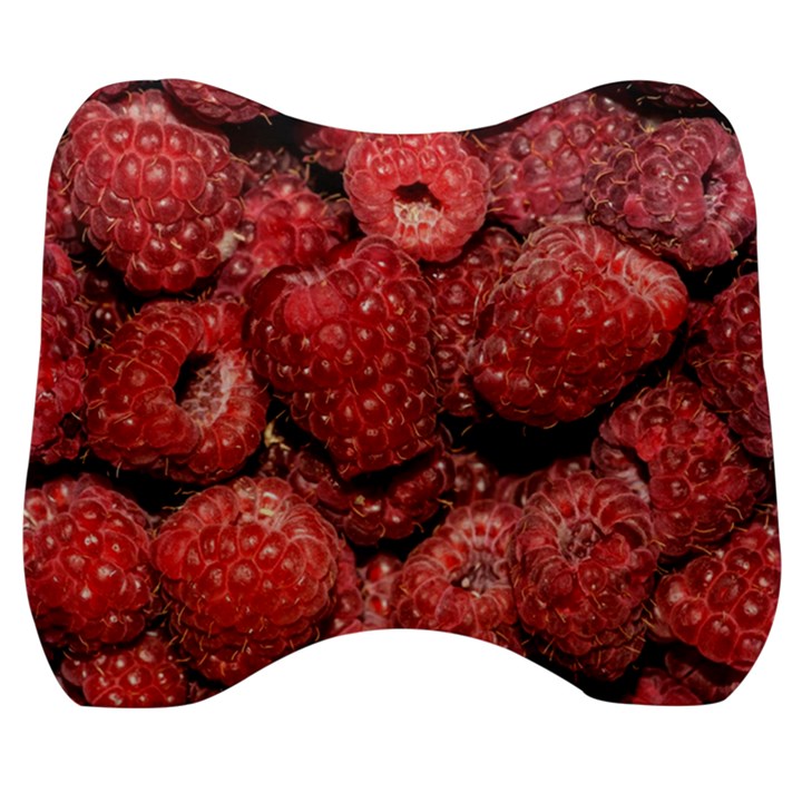 Red Raspberries Velour Head Support Cushion