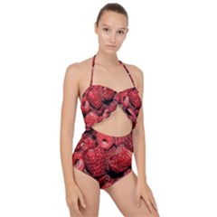 Red Raspberries Scallop Top Cut Out Swimsuit by FunnyCow