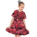 Red Raspberries Kids  Short Sleeve Shirt Dress View1