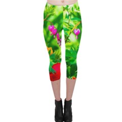 Bleeding Heart Flowers In Spring Capri Leggings  by FunnyCow