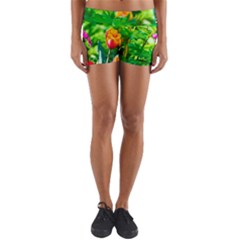 Bleeding Heart Flowers In Spring Yoga Shorts by FunnyCow