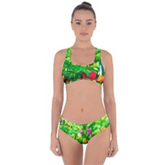 Bleeding Heart Flowers In Spring Criss Cross Bikini Set by FunnyCow