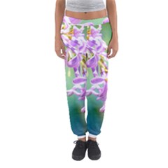 Beautiful Pink Lilac Flowers Women s Jogger Sweatpants by FunnyCow