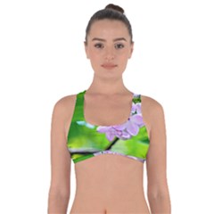 Elegant Pink Lilacs In Spring Got No Strings Sports Bra by FunnyCow