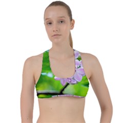 Elegant Pink Lilacs In Spring Criss Cross Racerback Sports Bra by FunnyCow