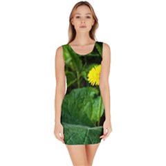 Yellow Dandelion Flowers In Spring Bodycon Dress by FunnyCow