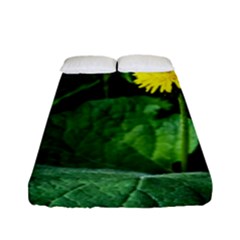 Yellow Dandelion Flowers In Spring Fitted Sheet (full/ Double Size) by FunnyCow