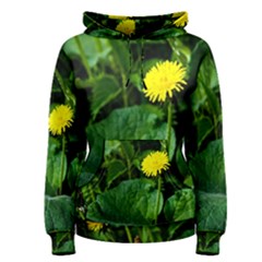 Yellow Dandelion Flowers In Spring Women s Pullover Hoodie by FunnyCow