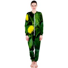 Yellow Dandelion Flowers In Spring Onepiece Jumpsuit (ladies)  by FunnyCow