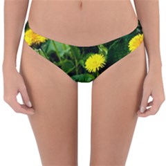 Yellow Dandelion Flowers In Spring Reversible Hipster Bikini Bottoms by FunnyCow