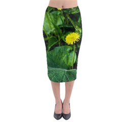 Yellow Dandelion Flowers In Spring Midi Pencil Skirt by FunnyCow