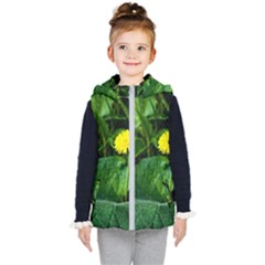 Yellow Dandelion Flowers In Spring Kid s Hooded Puffer Vest by FunnyCow