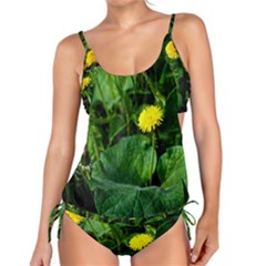 Yellow Dandelion Flowers In Spring Tankini Set by FunnyCow