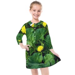 Yellow Dandelion Flowers In Spring Kids  Quarter Sleeve Shirt Dress by FunnyCow