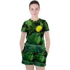 Yellow Dandelion Flowers In Spring Women s Tee And Shorts Set