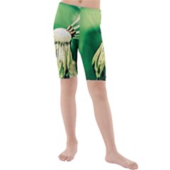 Dandelion Flower Green Chief Kids  Mid Length Swim Shorts by FunnyCow