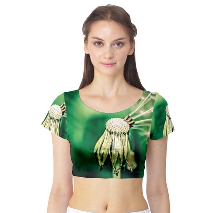 Dandelion Flower Green Chief Short Sleeve Crop Top