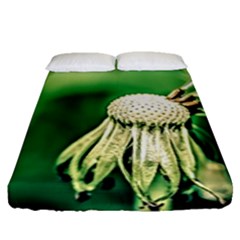 Dandelion Flower Green Chief Fitted Sheet (queen Size) by FunnyCow