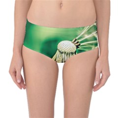 Dandelion Flower Green Chief Mid-waist Bikini Bottoms by FunnyCow