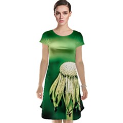 Dandelion Flower Green Chief Cap Sleeve Nightdress by FunnyCow