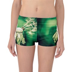 Dandelion Flower Green Chief Reversible Boyleg Bikini Bottoms by FunnyCow