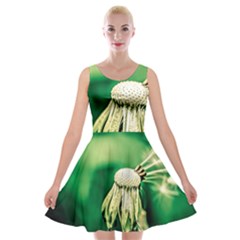 Dandelion Flower Green Chief Velvet Skater Dress by FunnyCow