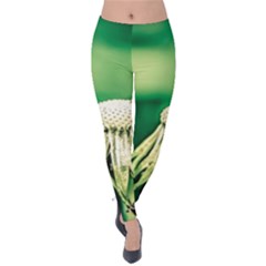 Dandelion Flower Green Chief Velvet Leggings by FunnyCow