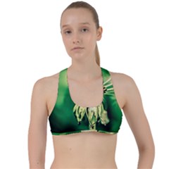 Dandelion Flower Green Chief Criss Cross Racerback Sports Bra by FunnyCow