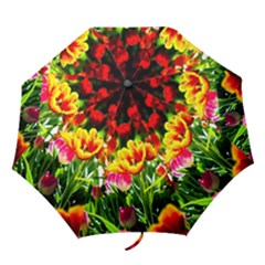 Colorful Tulips On A Sunny Day Folding Umbrellas by FunnyCow