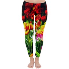 Colorful Tulips On A Sunny Day Classic Winter Leggings by FunnyCow