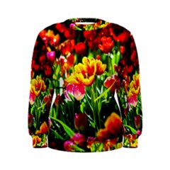 Colorful Tulips On A Sunny Day Women s Sweatshirt by FunnyCow