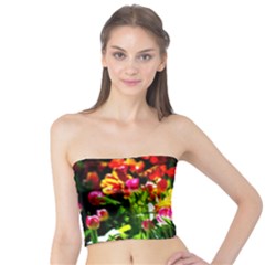 Colorful Tulips On A Sunny Day Tube Top by FunnyCow