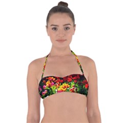 Colorful Tulips On A Sunny Day Halter Bandeau Bikini Top by FunnyCow