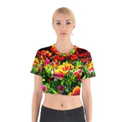 Colorful Tulips On A Sunny Day Cotton Crop Top by FunnyCow