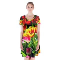 Colorful Tulips On A Sunny Day Short Sleeve V-neck Flare Dress by FunnyCow