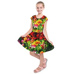 Colorful Tulips On A Sunny Day Kids  Short Sleeve Dress by FunnyCow