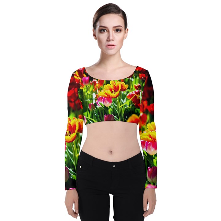 Colorful Tulips On A Sunny Day Velvet Crop Top