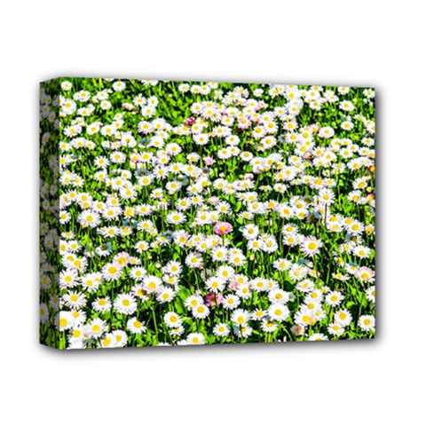 Green Field Of White Daisy Flowers Deluxe Canvas 14  X 11  by FunnyCow