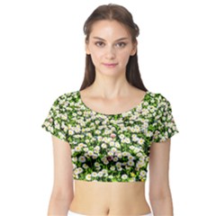 Green Field Of White Daisy Flowers Short Sleeve Crop Top by FunnyCow