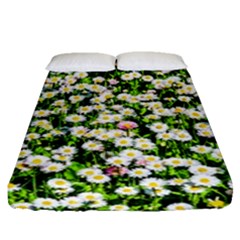 Green Field Of White Daisy Flowers Fitted Sheet (queen Size) by FunnyCow