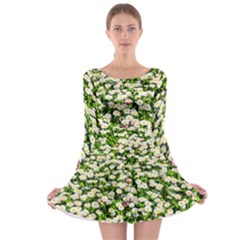 Green Field Of White Daisy Flowers Long Sleeve Skater Dress by FunnyCow