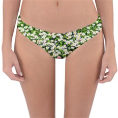 Green Field Of White Daisy Flowers Reversible Hipster Bikini Bottoms by FunnyCow