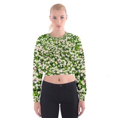 Green Field Of White Daisy Flowers Cropped Sweatshirt by FunnyCow