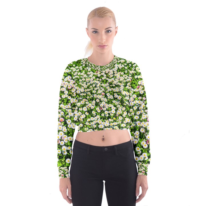 Green Field Of White Daisy Flowers Cropped Sweatshirt