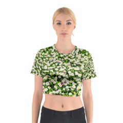 Green Field Of White Daisy Flowers Cotton Crop Top by FunnyCow