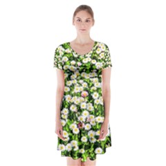 Green Field Of White Daisy Flowers Short Sleeve V-neck Flare Dress by FunnyCow