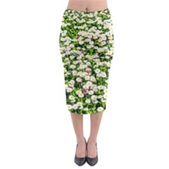 Green Field Of White Daisy Flowers Midi Pencil Skirt by FunnyCow